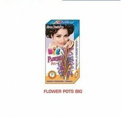 Flower Pots Big B (10Pcs)