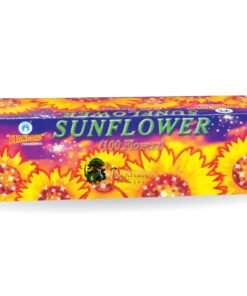 Sun Flower